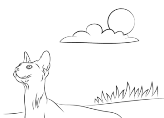 Kot sfinks obrazek do drukowania