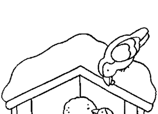 karmnik dla ptaków obrazek do drukowania