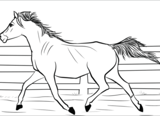 koń obrazek do drukowania