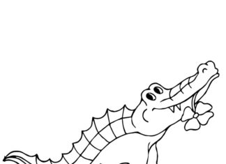 Mały aligatorek aligatorek obrazek do drukowania