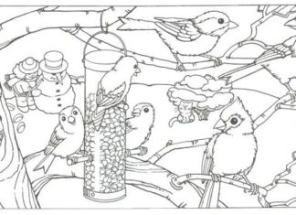 ptaki zima obrazek do drukowania dla dzieci