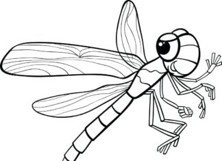 waszka obrazek do drukowania