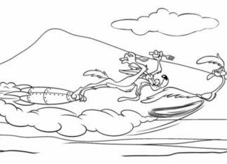 wiluś kojot obrazek do drukowania