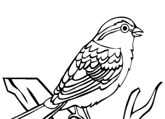 Wiosenny ptaszek wiosenny ptaszek obrazek do drukowania