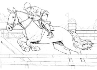 Zawody konne zawody konne obrazek do drukowania