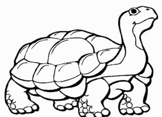 Żółw morski żółw morski obrazek do drukowania