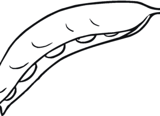 Fasola polna fasola obrazek do drukowania