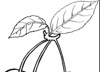 Wiśnie wiśnia obrazek do drukowania