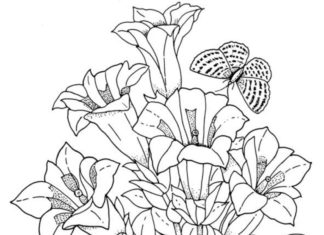 Pęczek kwiatów kwiaty obrazek do drukowania