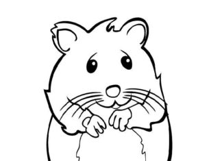 Wesoły Chomik chomik kolorowanka do druku