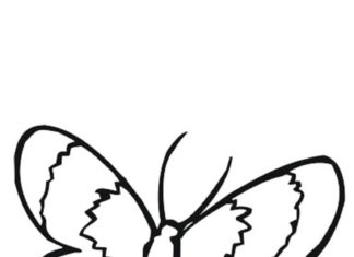 Latająca ćma ćma obrazek do drukowania