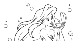 Arielka i przyjaciele