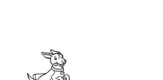 Piesek kieruje traktorem