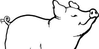 Uśmiechnięta świnka