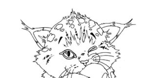 Mały ryś ryś kolorowanka obrazek do drukowania