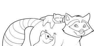 Szop pracz i jego dzieci szop kolorowanka obrazek do drukowania