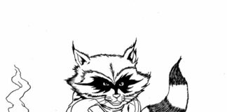 Wojowniczy szop pracz Szop kolorowanka obrazek do drukowania