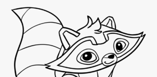 Słodki szop pracz Szop kolorowanka obrazek do drukowania