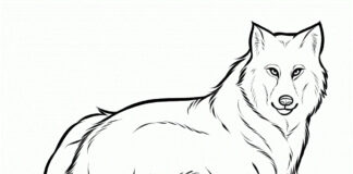 Spacerujący wilk świnka kolorowanka obrazek do drukowania