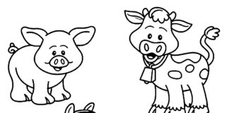 Zwierzątka do kolorowania zwierzątka kolorowanka obrazek do drukowania