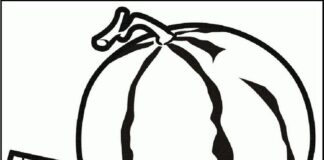 Cały arbuz i kawałek arbuz obrazek do drukowania