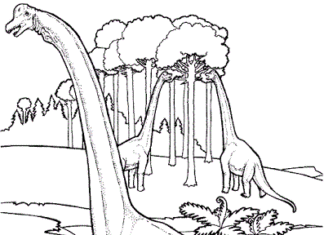 Dinozaur z długą szyją obrazek do drukowania