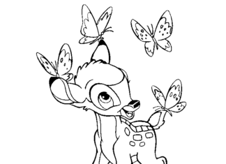 Sarenka Bambi obrazek do drukowania