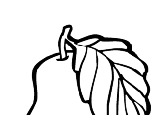 gruszka obrazek do drukowanai