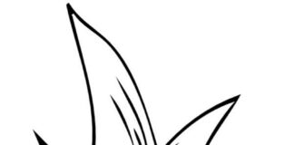 Dojrzały ananas ananas obrazek do drukowania