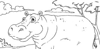 Duży hipopotam duży hipopotam obrazek do drukowania