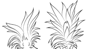 Dwa ananasy dwa nanasy obrazek do drukowania