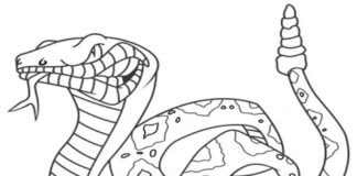 Długi waż długi waż obrazek do drukowania