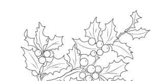 Gałązka ostrokrzewu gałązka ostrokrzewu obrazek do drukowania