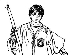 harry potter z miotłą obrazek do drukowania