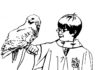 Harry z ptakiem harry potter z ptakiem obrazek do druku