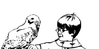 Harry z ptakiem harry potter z ptakiem obrazek do druku