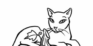 Kot na dyni halloween kot obrazek do drukowania