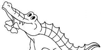 Krokodyl z kwiatkiem krokodyl z kwiatkiem obrazek do drukowania