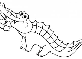 krokodyl z kwiatkiem obrazek do drukowania