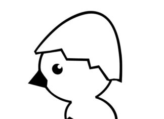 Kurczak wychodzi z jajka kurczak wychodzi z jajka obrazek do drukowania