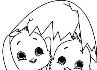 Kurczaczki wychodzą ze skorupki obrazek do drukowania