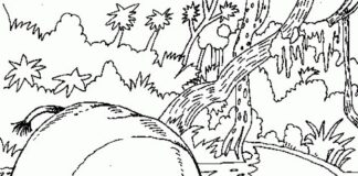 Mały i duży hipopotam mały i duży hipopotam obrazek do drukowania