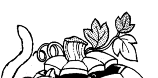 Mały kotek i dynia mały kotek i dynia obrazek do drukowania