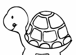mały żółw obrazek do drukowania