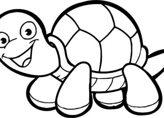 żółwik obrazek do drukowania