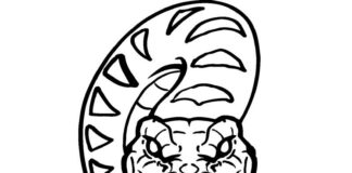 Wściekła kobra wściekła kobra obrazek do drukowania