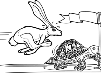 żółw na wyścigu obrazek do drukowania