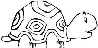 Żółw w skorupie żółw w skorupie obrazek do drukowania