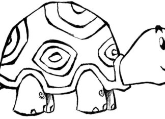 żółw w skorupie obrazek do drukowania