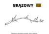BRĄZOWY kolorowanka do drukowania